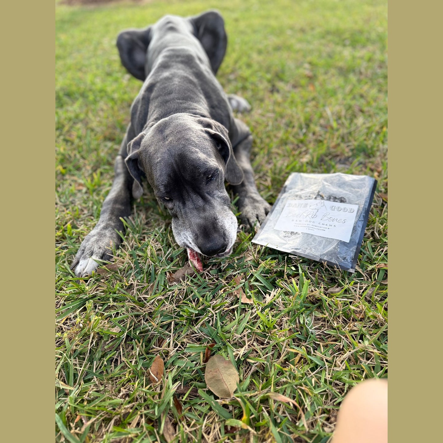 Beef Rib Bones for Dogs