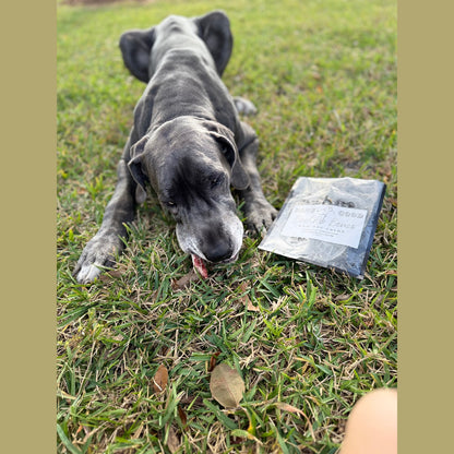 Beef Rib Bones for Dogs
