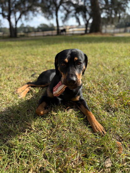 Beef Rib Bones for Dogs