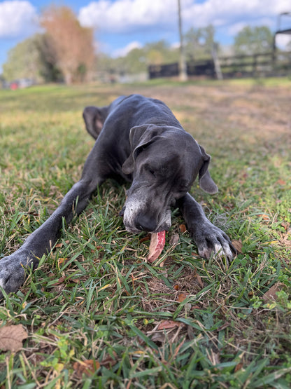Beef Rib Bones for Dogs