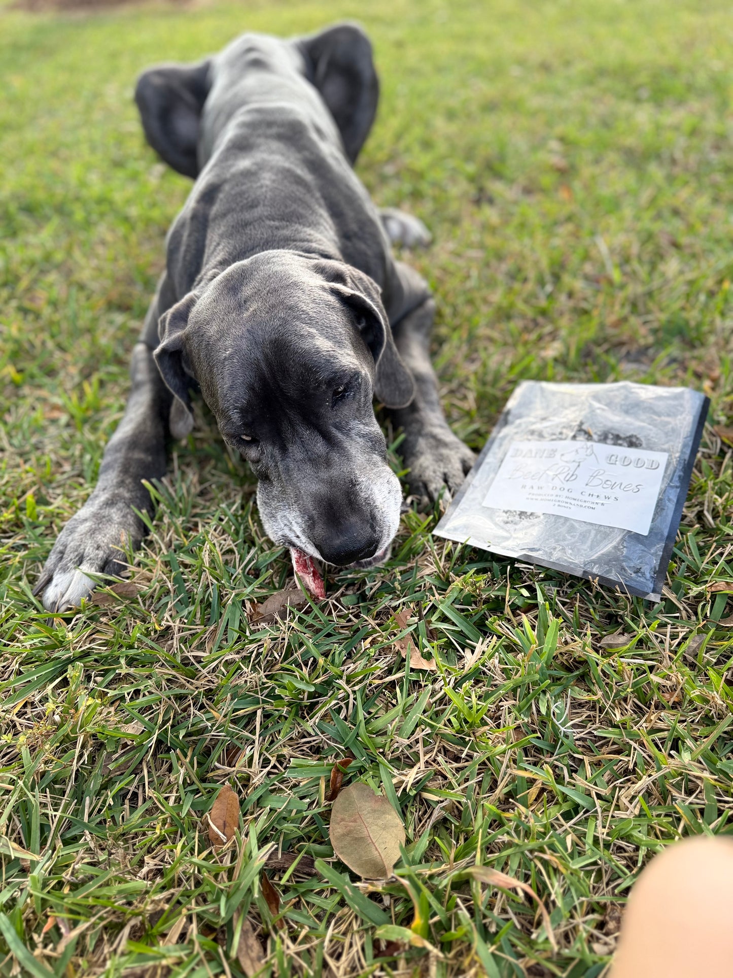 Beef Rib Bones for Dogs